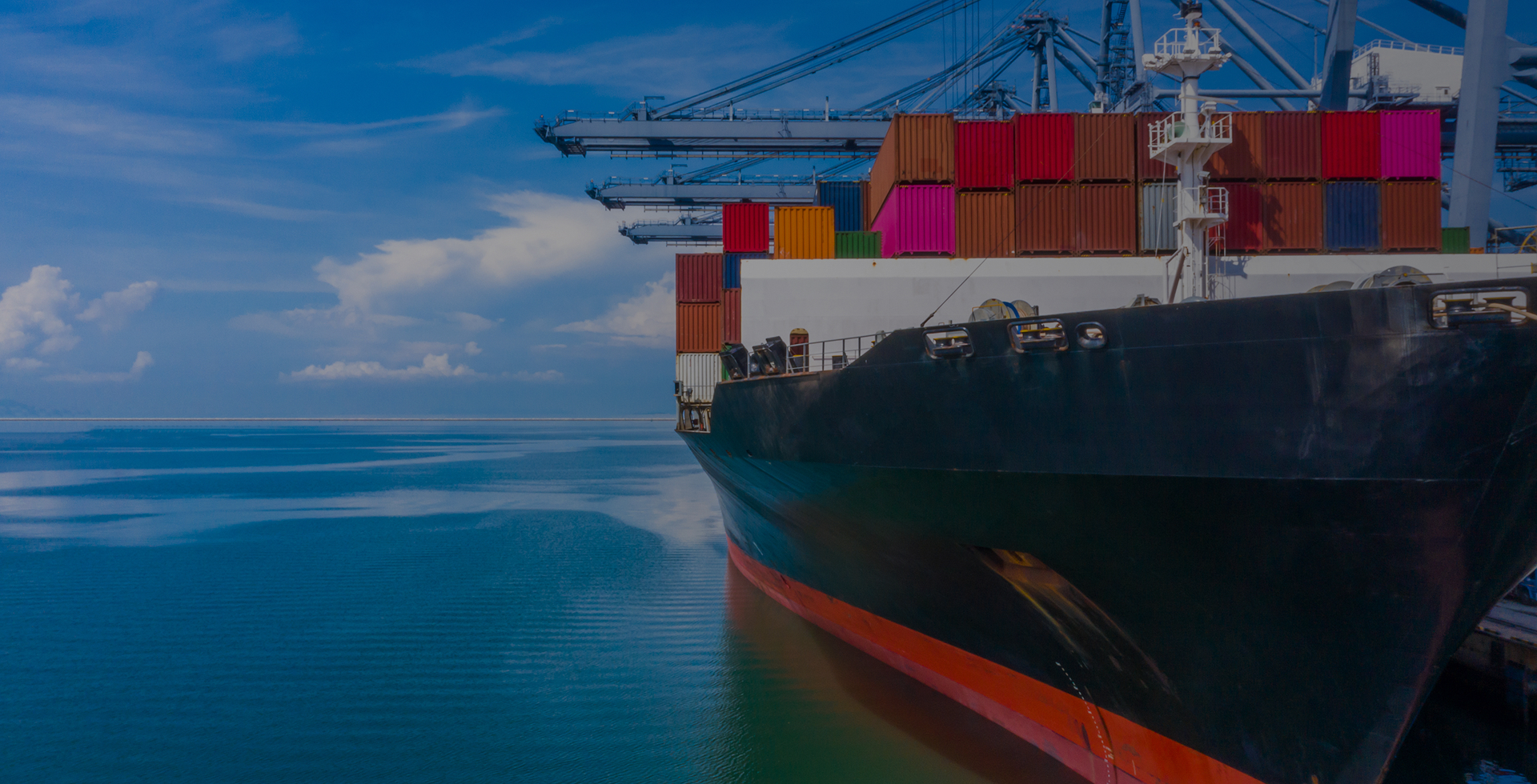 A strategic partner for
global distribution of K-beauty